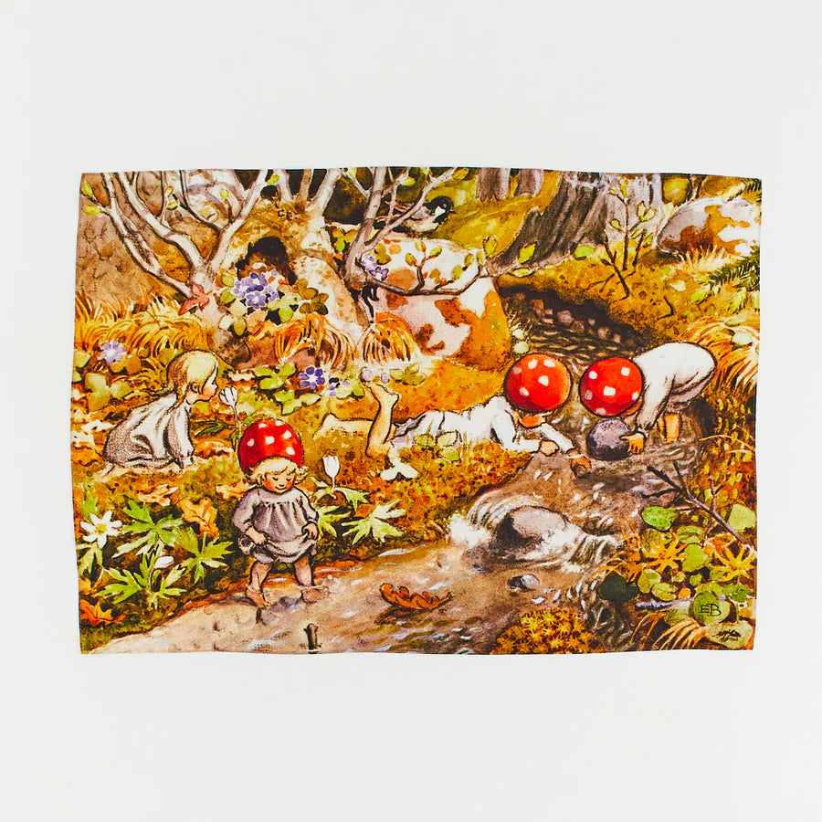 Mushroom Children – Seek and Find