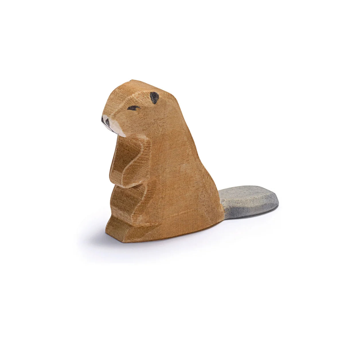 Ostheimer - Beaver sitting