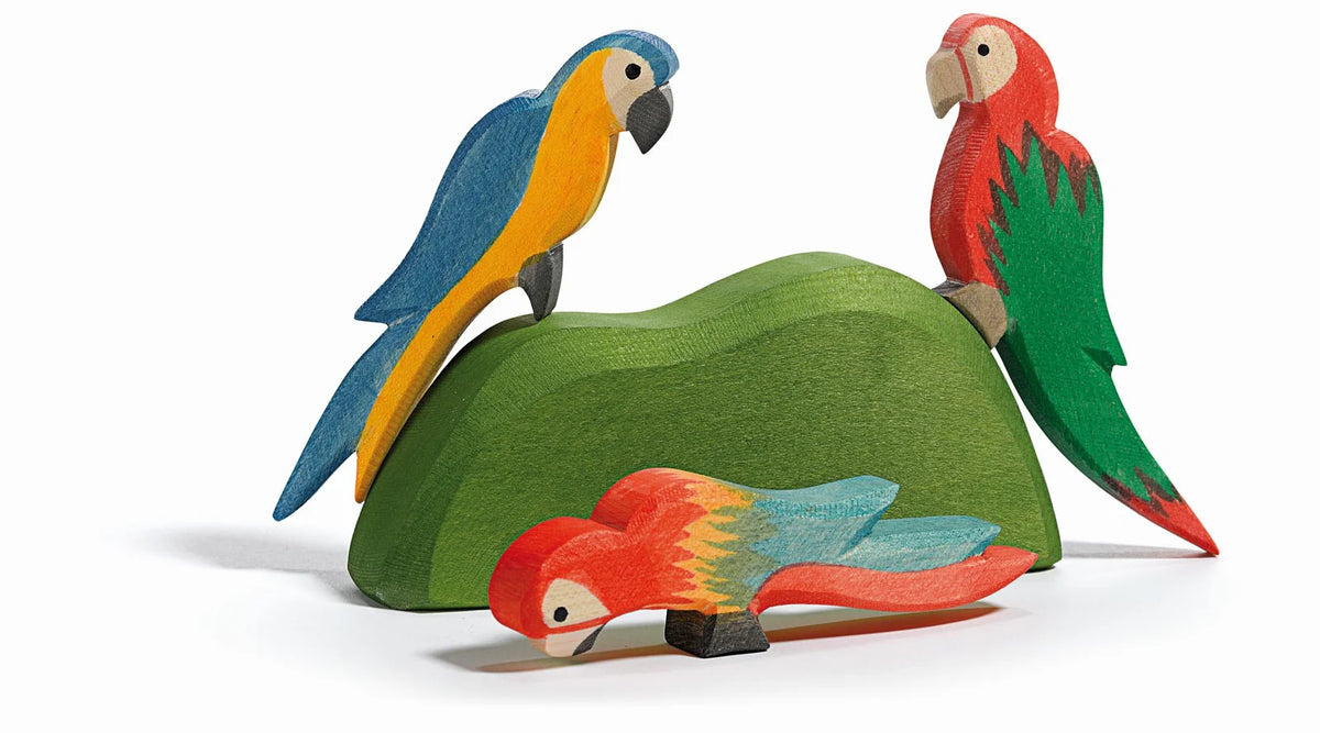 Ostheimer - Parrot  multicolour