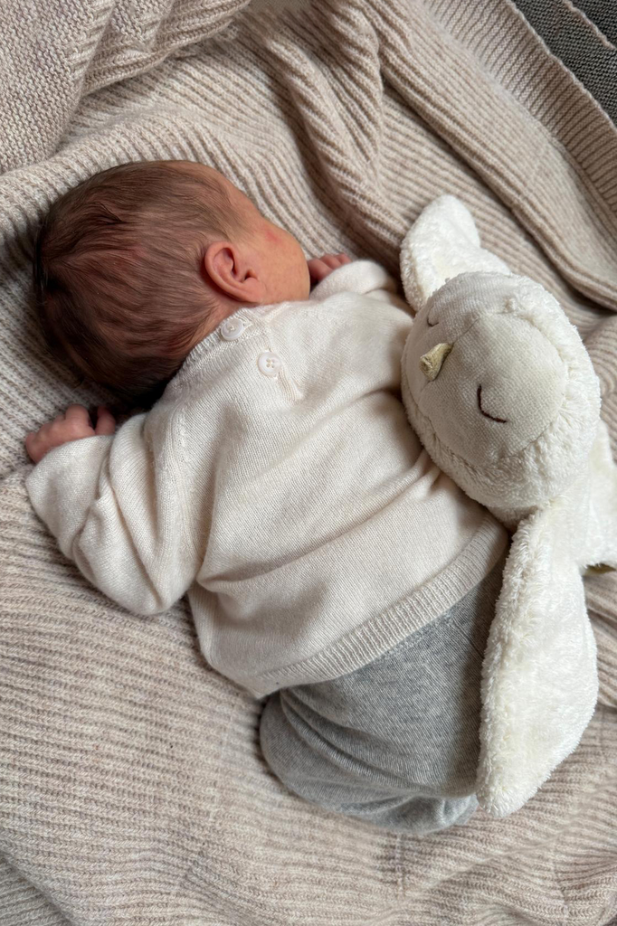 Senger Naturwelt | Cuddly Snøugle, liten