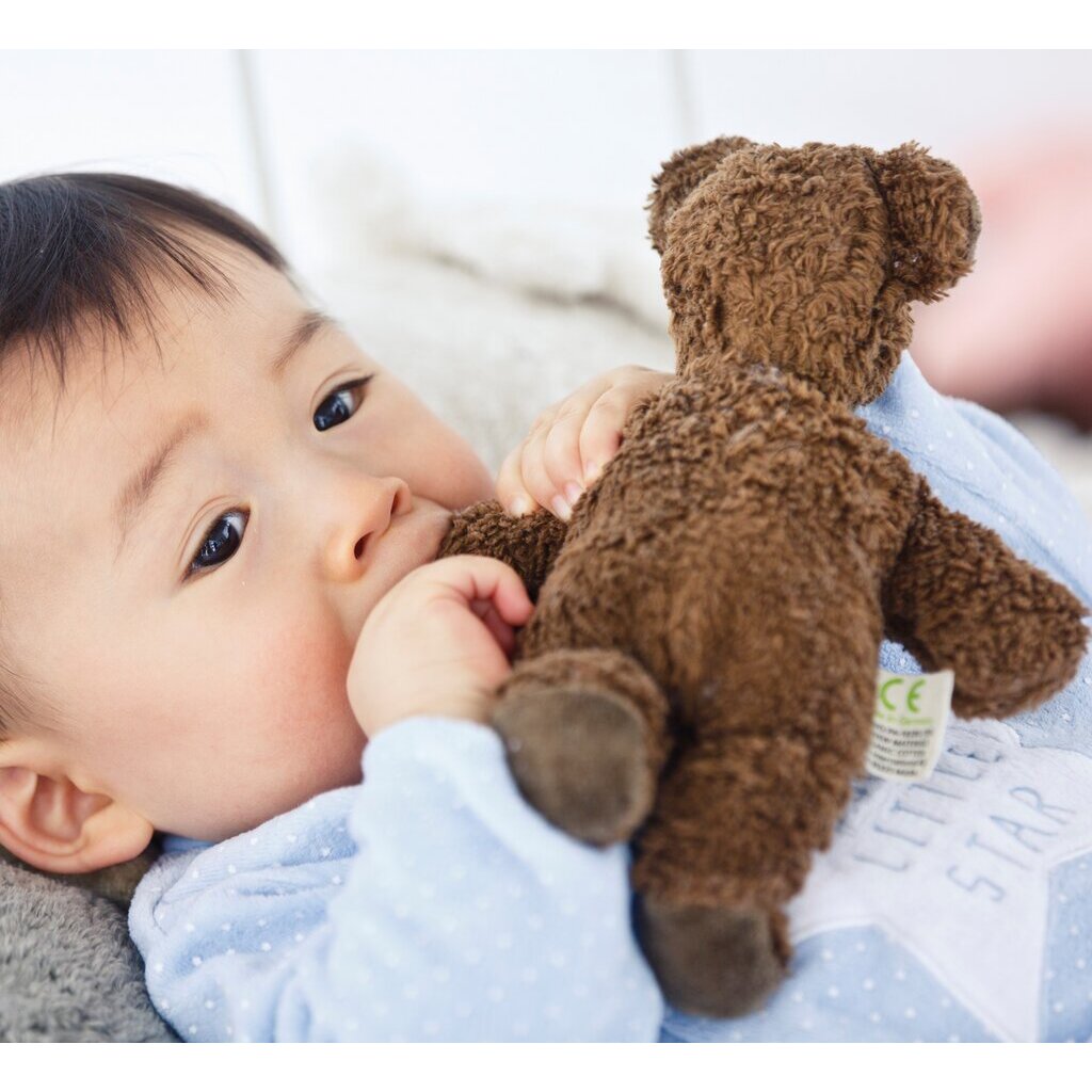 Senger Naturwelt | Baby Bjørn - brun