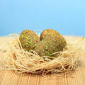 Dinosauregg – Ankylosaurus