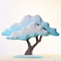Japansk Lønnetre - Vinter