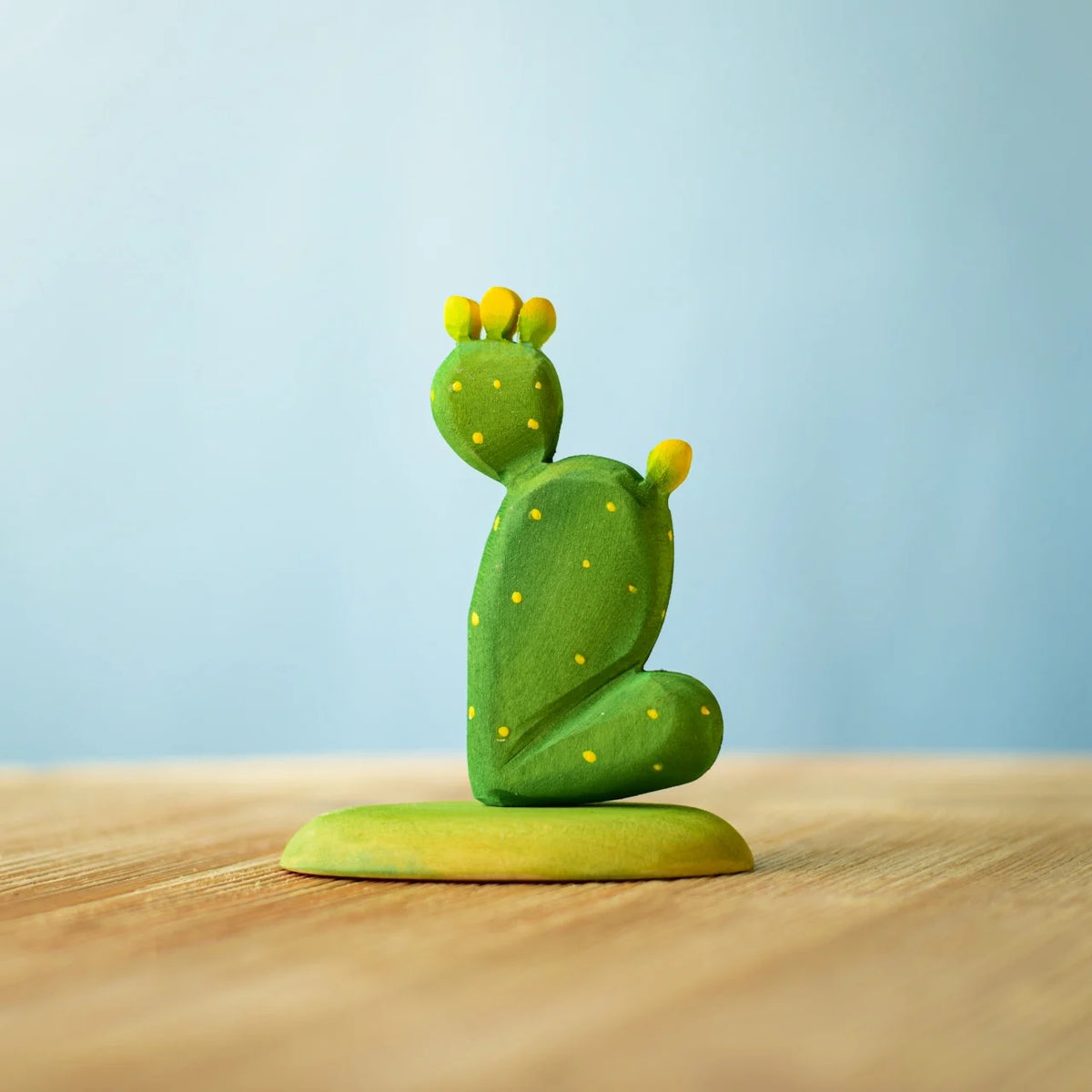 Kaktus - Opuntia