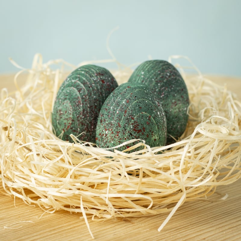 Dinosauregg - Carnotaurus