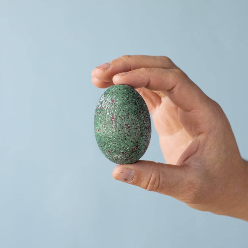 Dinosauregg - Carnotaurus