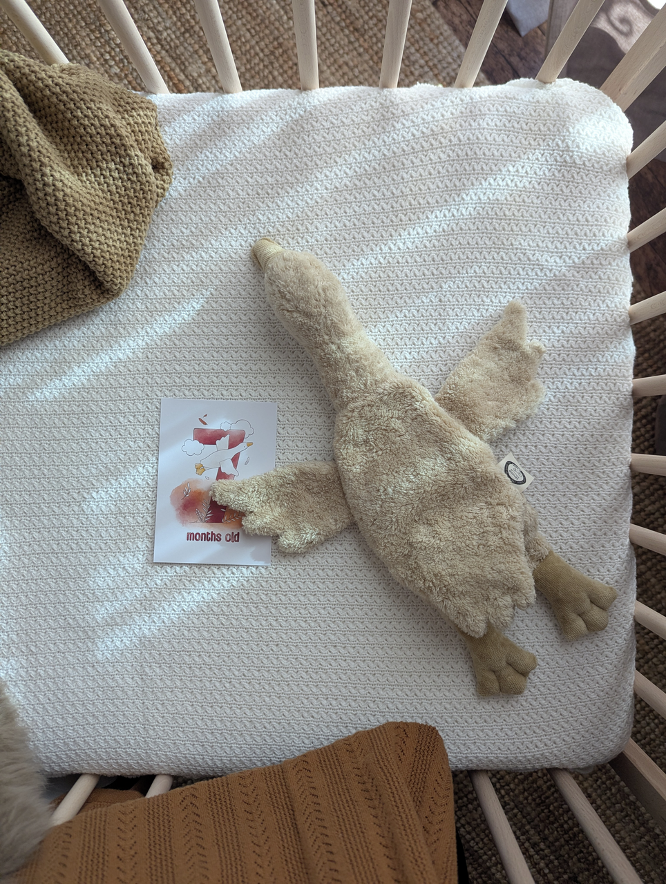 Senger Naturwelt | Cuddly gås, liten - Linen