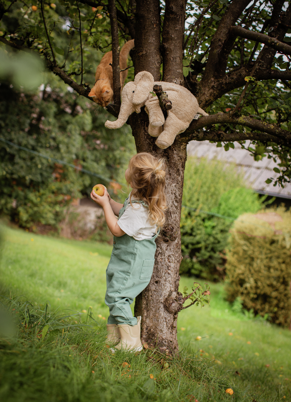 Senger Naturwelt | Cuddly elefant, stor - Linen