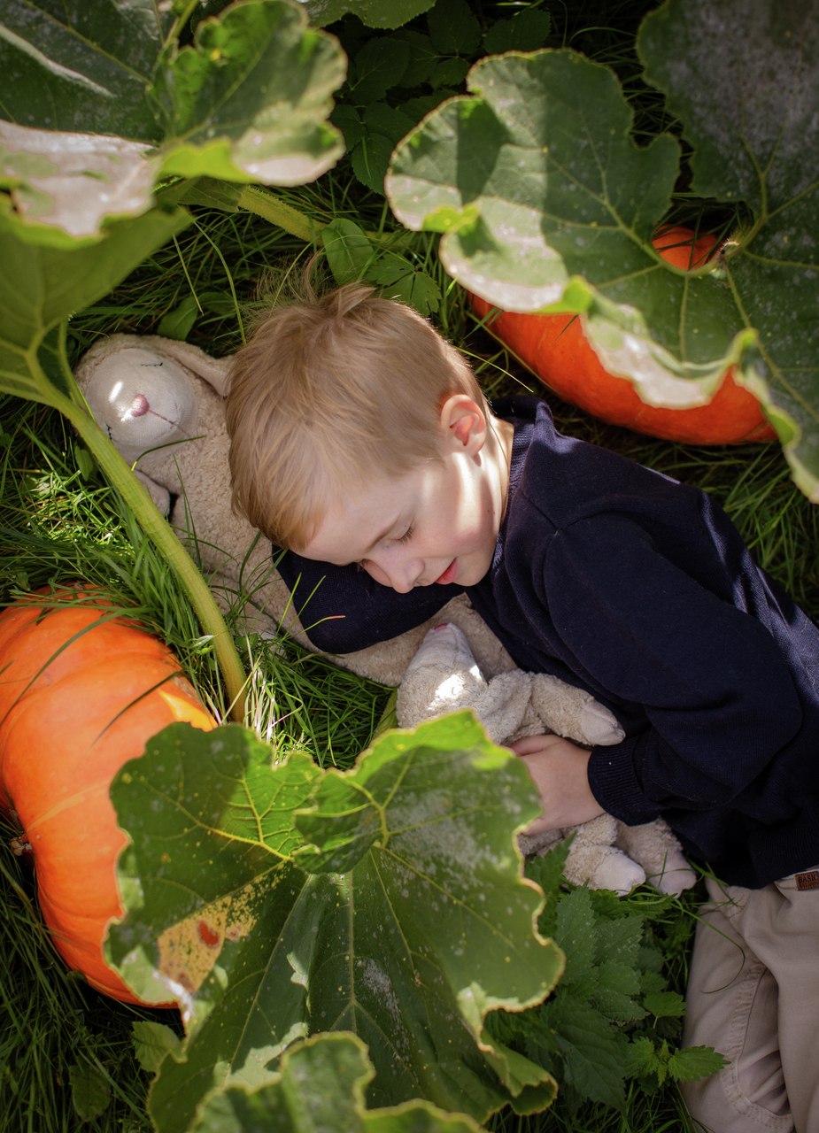 Senger Naturwelt | Cuddly sau, stor - Linen