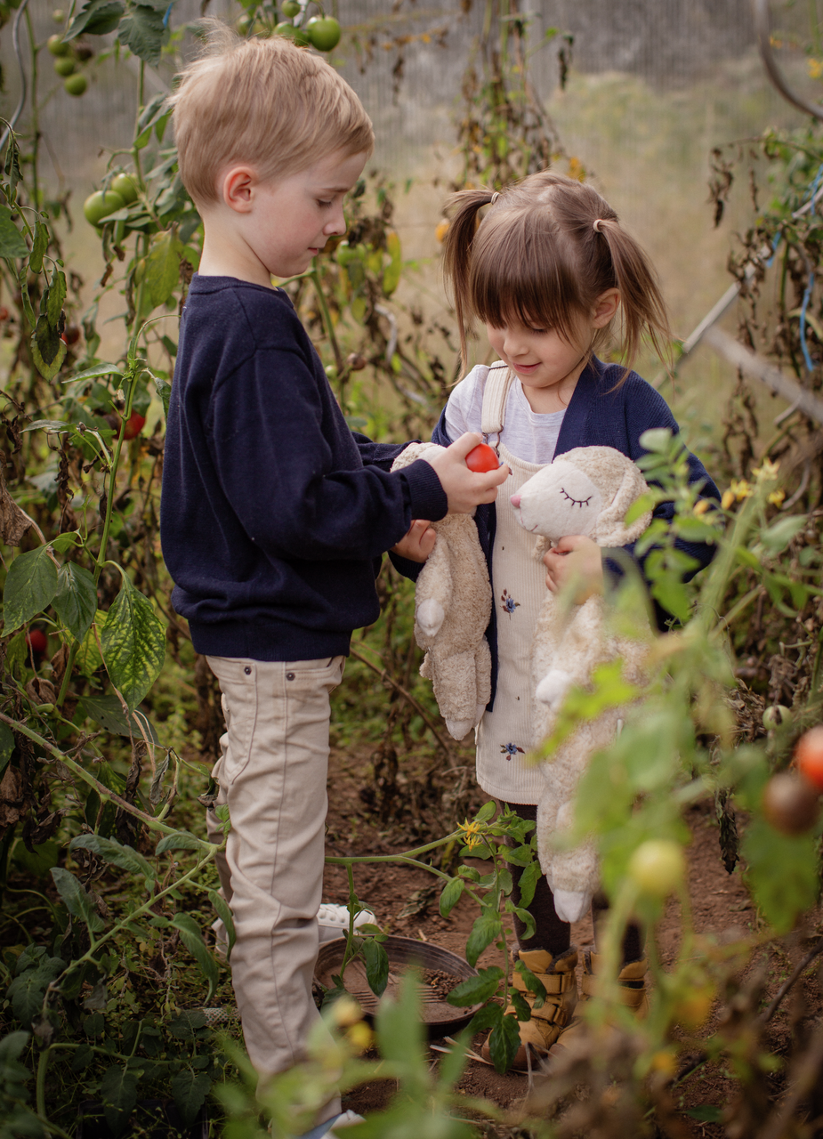 Senger Naturwelt | Cuddly sau, stor - Linen