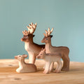 Reinsdyr familie