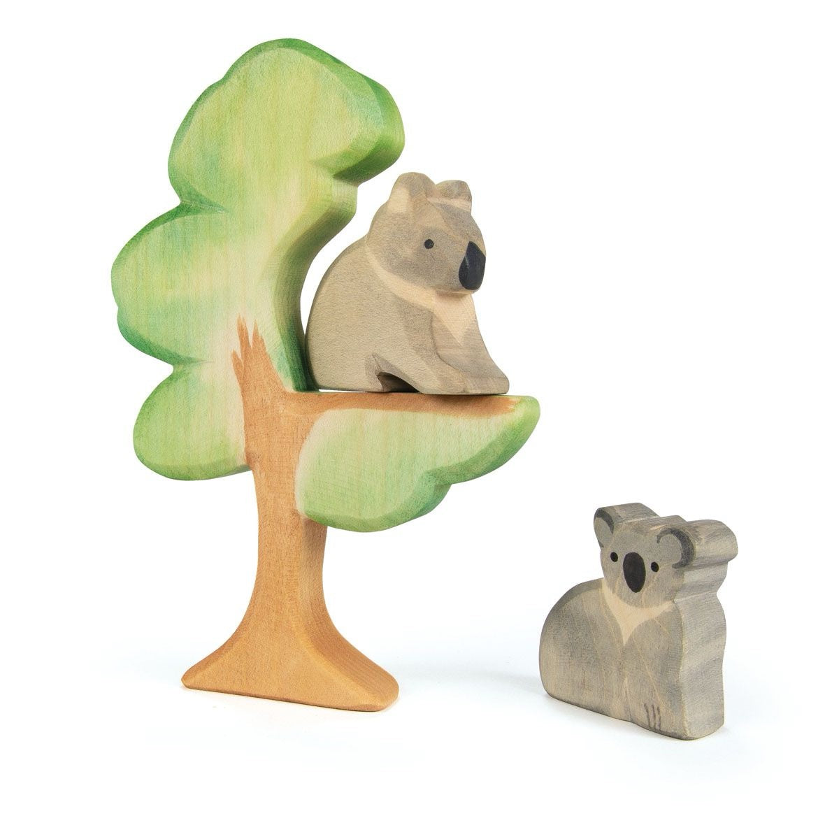 Ostheimer - Eucalyptus tre