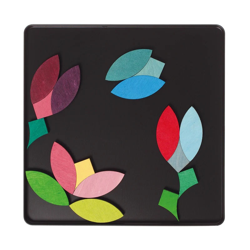 Magnetisk puslespill - sirkler