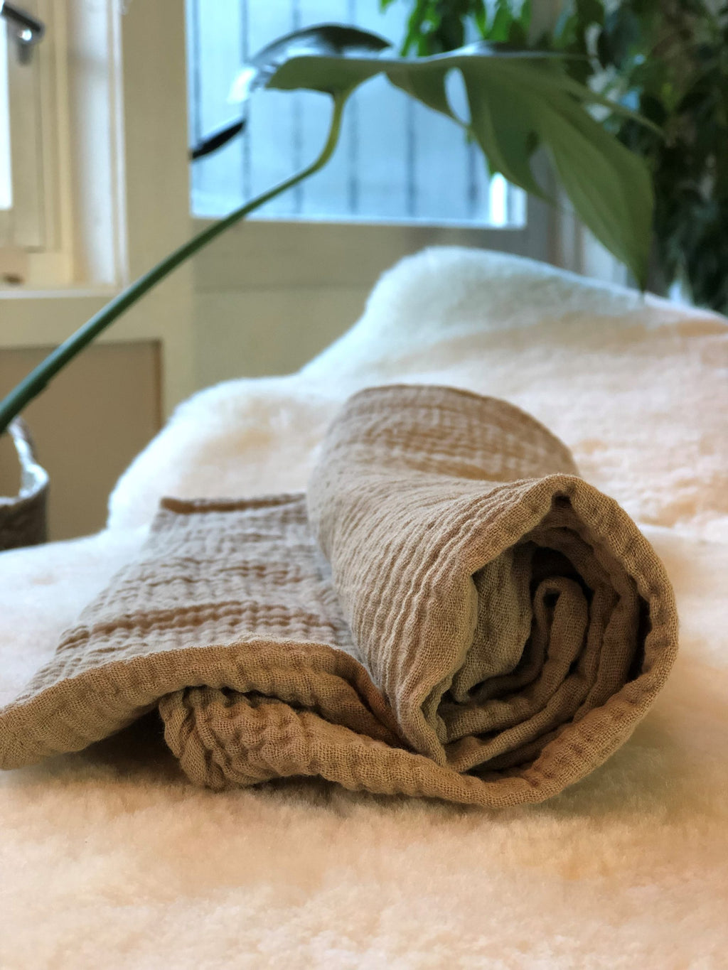 The Muslin Cloth