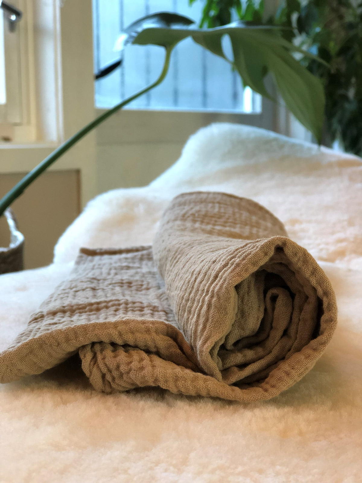 The Muslin Cloth