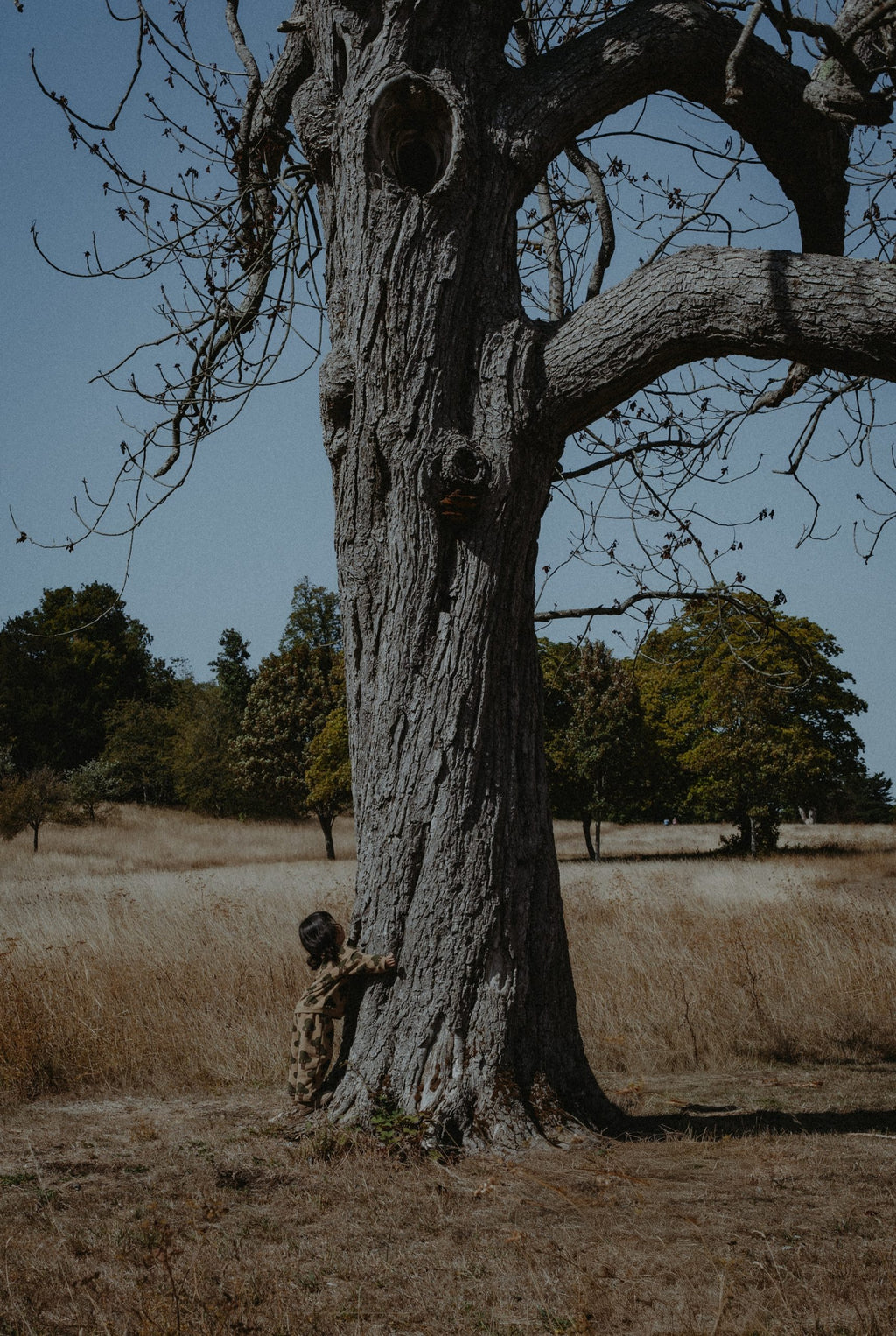 TREE SWEATSHIRT