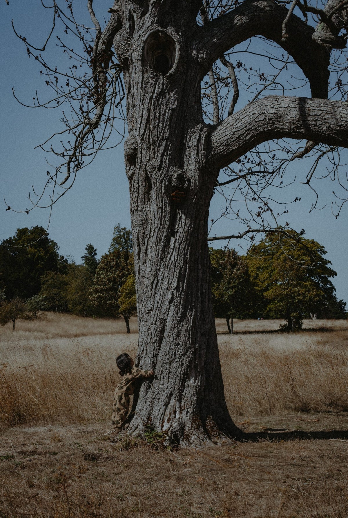 TREE SWEATSHIRT