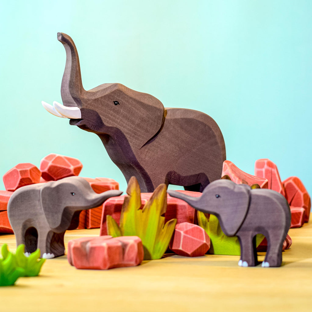 Savannestein - Sett