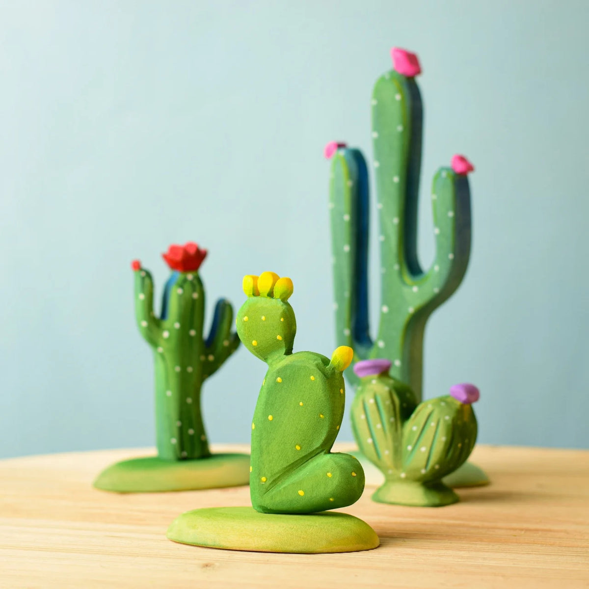Kaktus - Opuntia