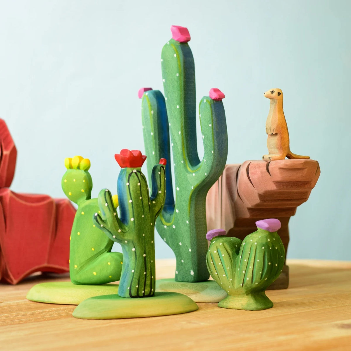 Kaktus - Opuntia