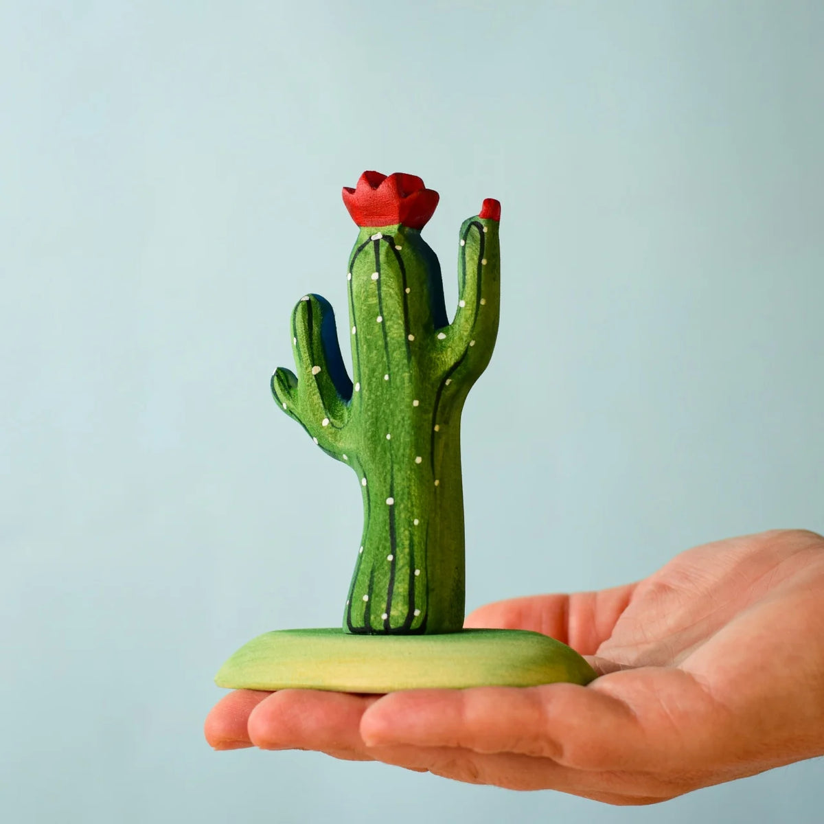 Kaktus - Saguaro