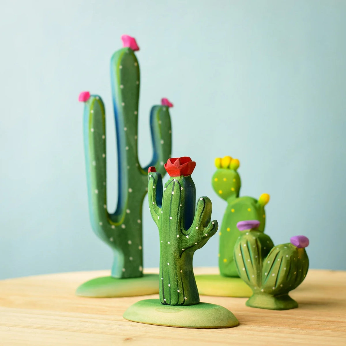 Kaktus - Saguaro