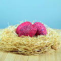 Dinosauregg – Spinosaurus
